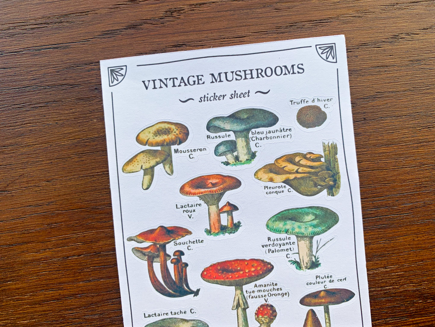 Vintage Mushroom Sticker Sheet