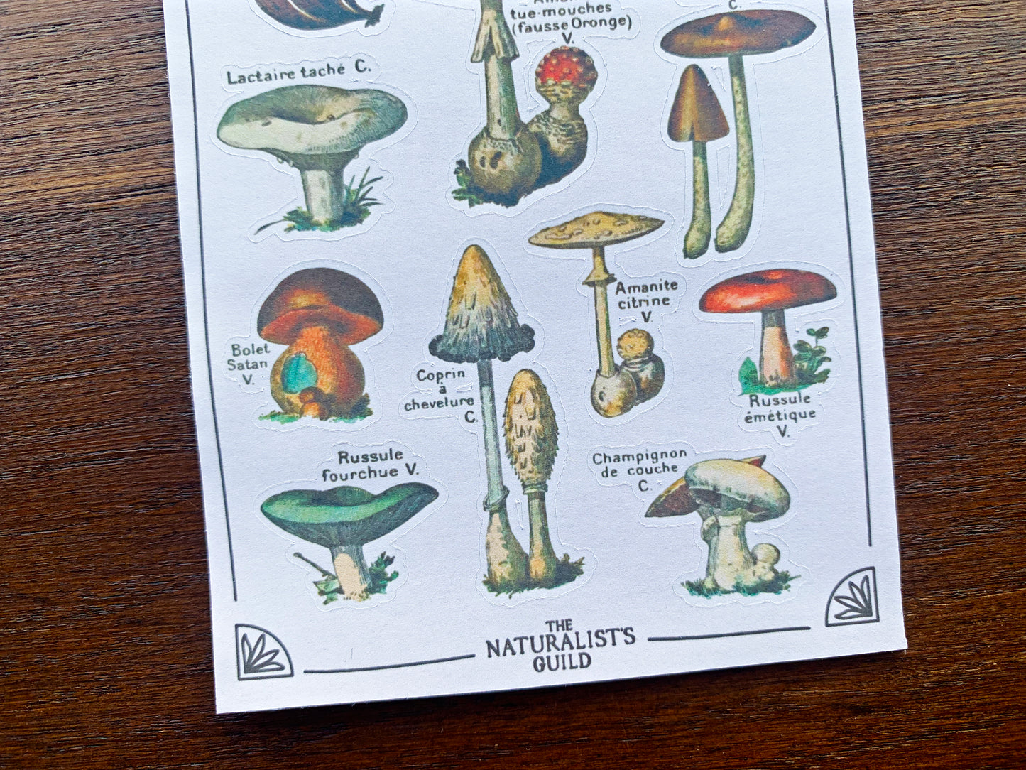 Vintage Mushroom Sticker Sheet