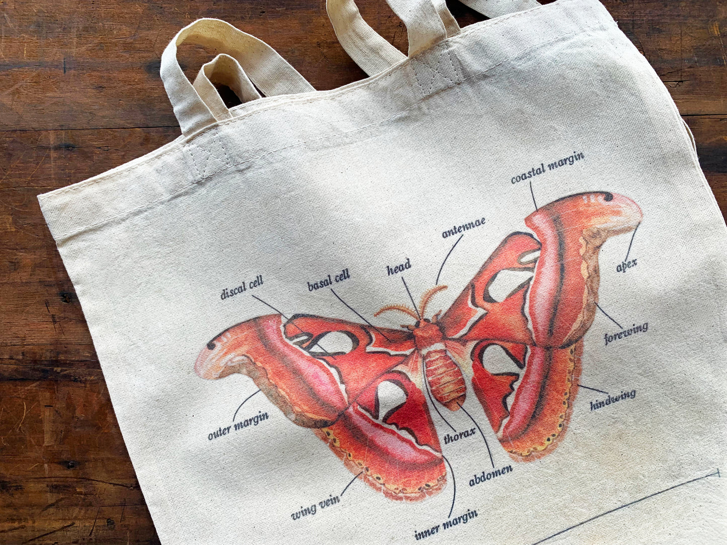 Atlas Moth Tote Bag