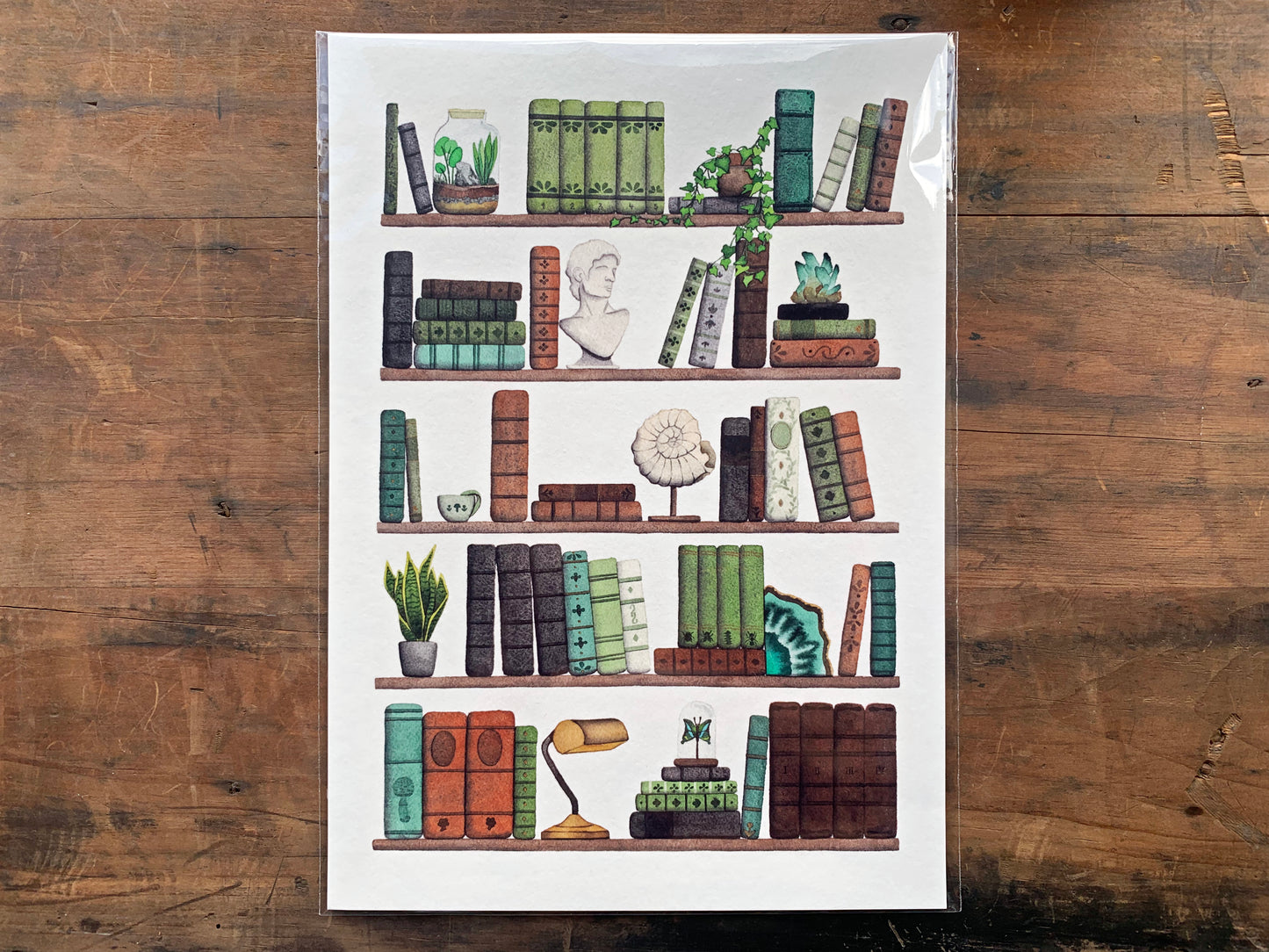 Naturalist's Bookshelf Art Print