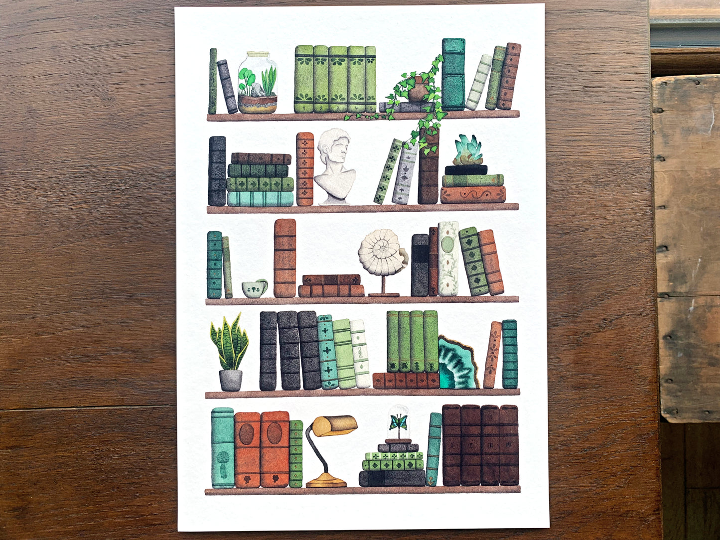 Naturalist's Bookshelf Art Print