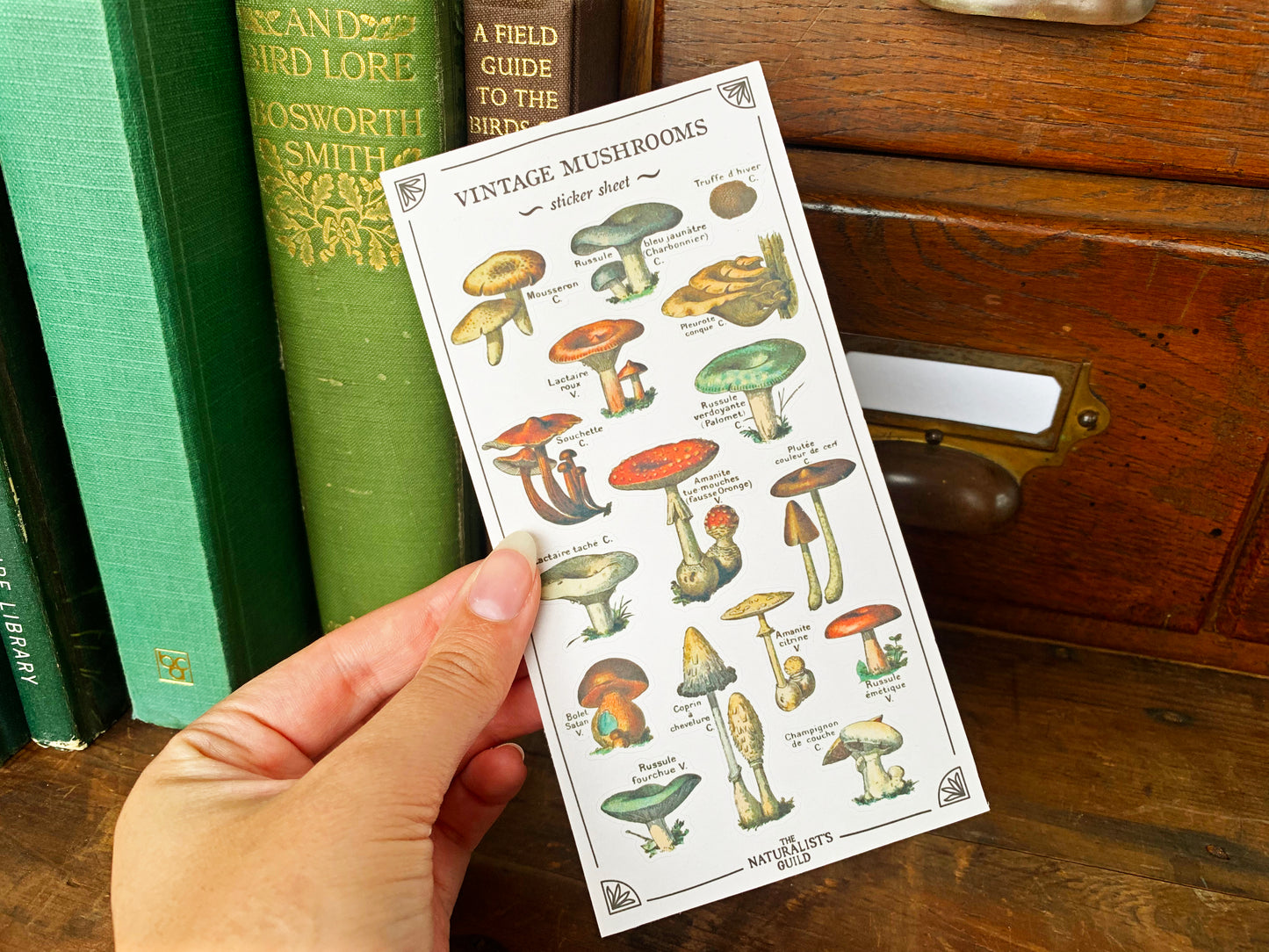 Vintage Mushroom Sticker Sheet