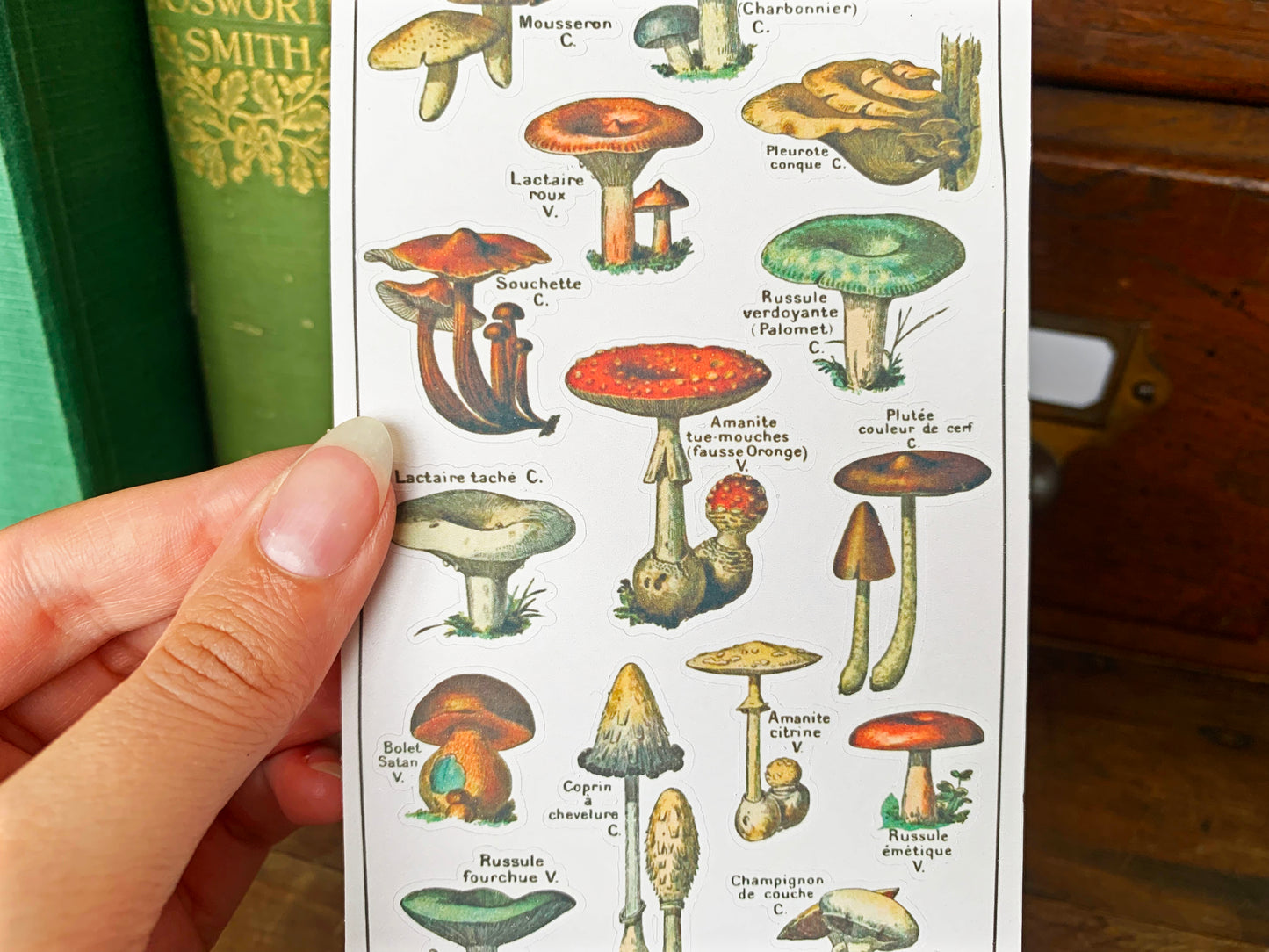 Vintage Mushroom Sticker Sheet