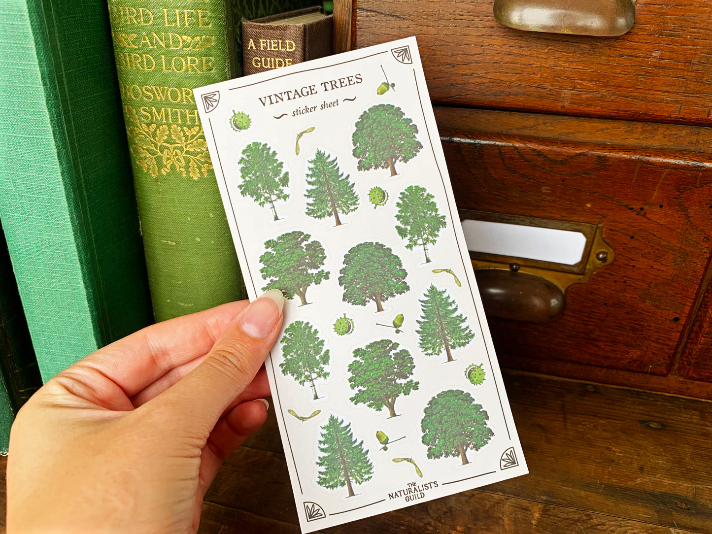 Vintage Trees Sticker Sheet