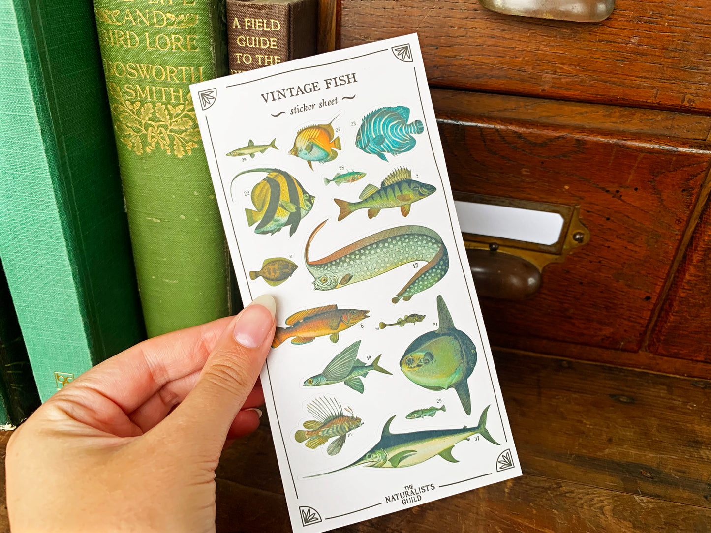 Vintage Fish Sticker Sheet