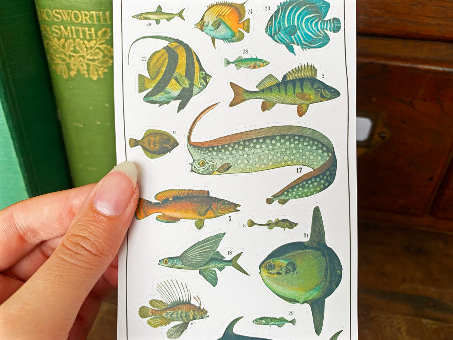 Vintage Fish Sticker Sheet