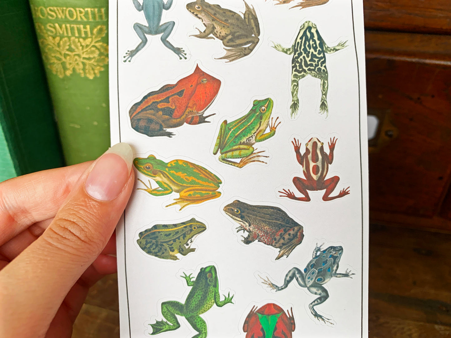 Vintage Frogs Sticker Sheet