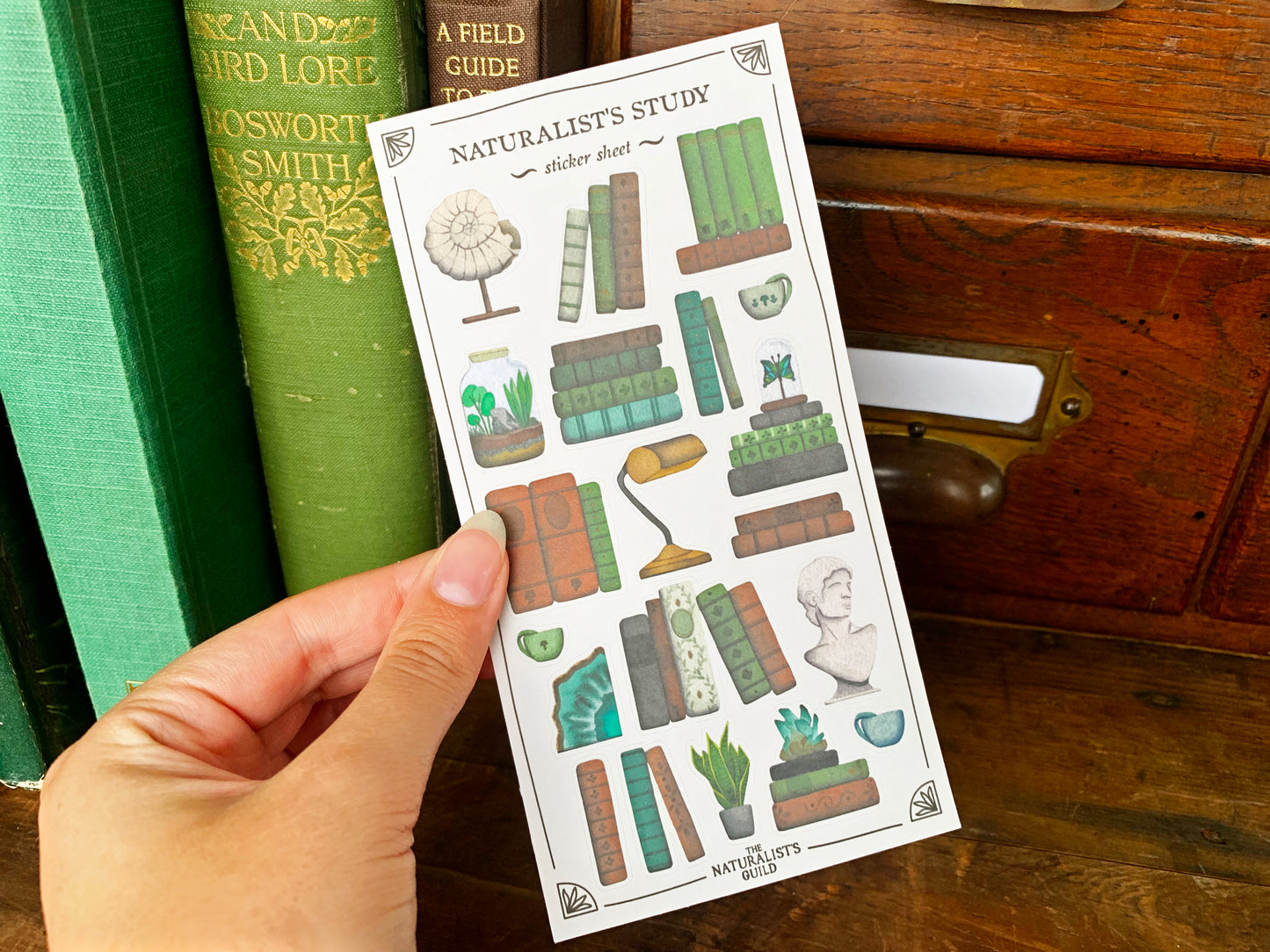 Naturalist's Study Sticker Sheet