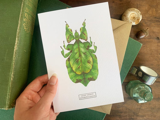 Leaf Insect Greetings Card