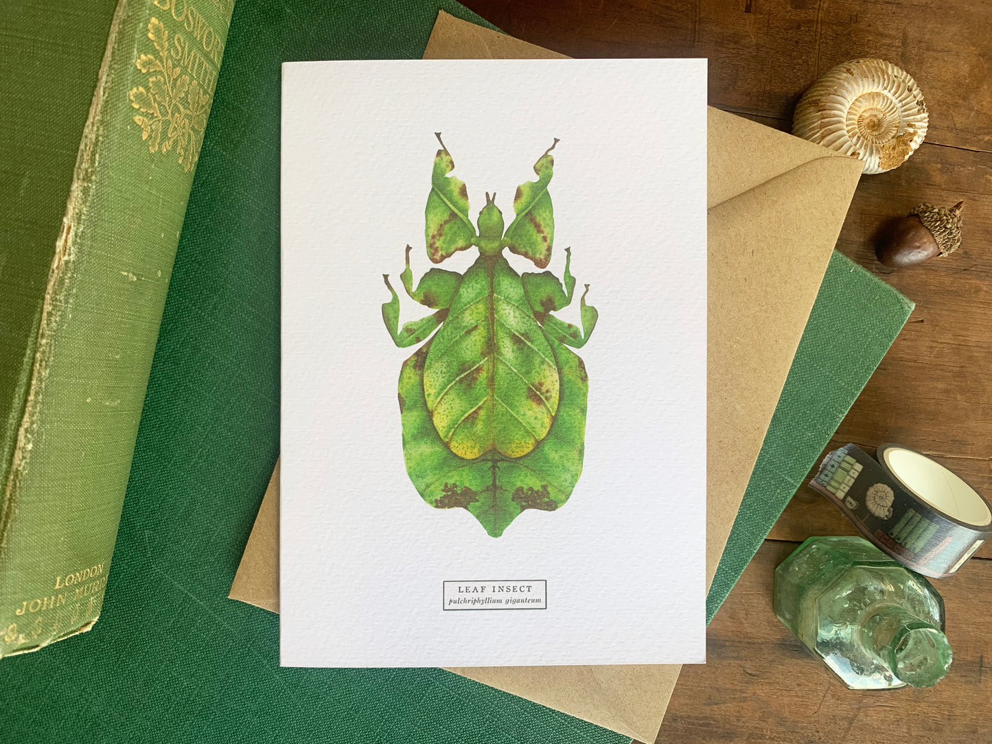 Leaf Insect Greetings Card