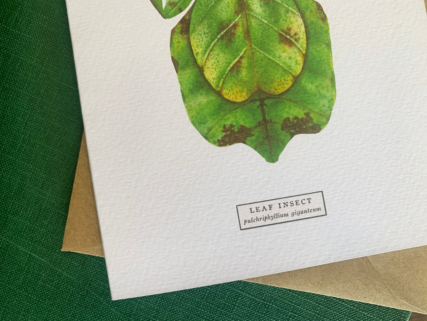 Leaf Insect Greetings Card