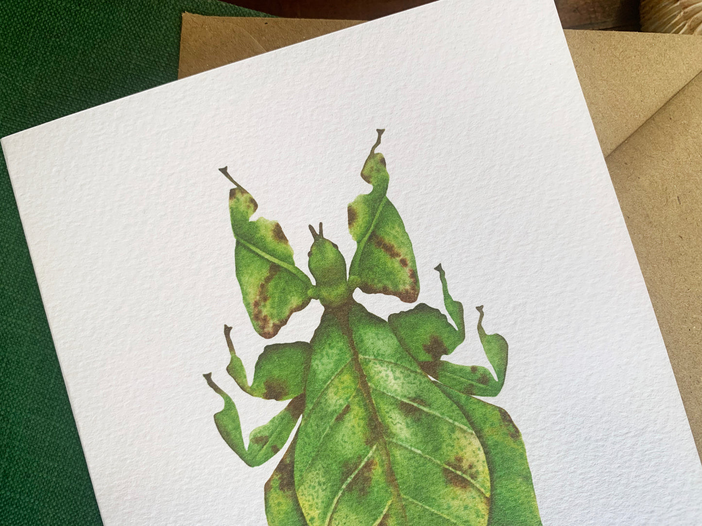 Leaf Insect Greetings Card