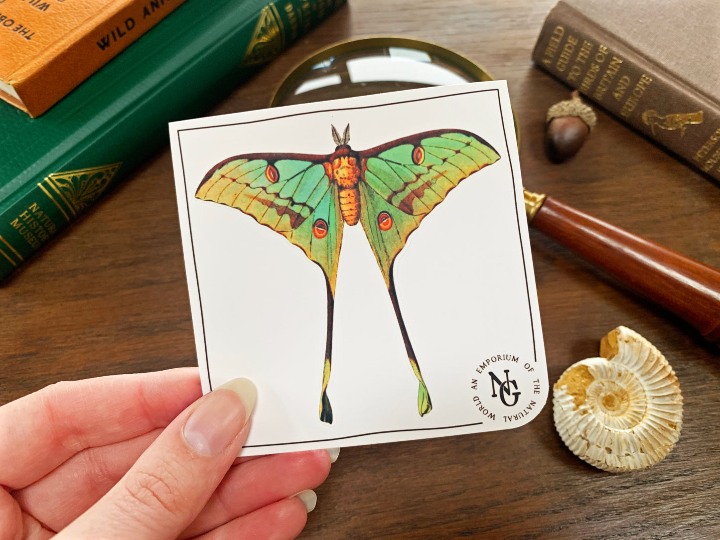 Luna Moth Sticker