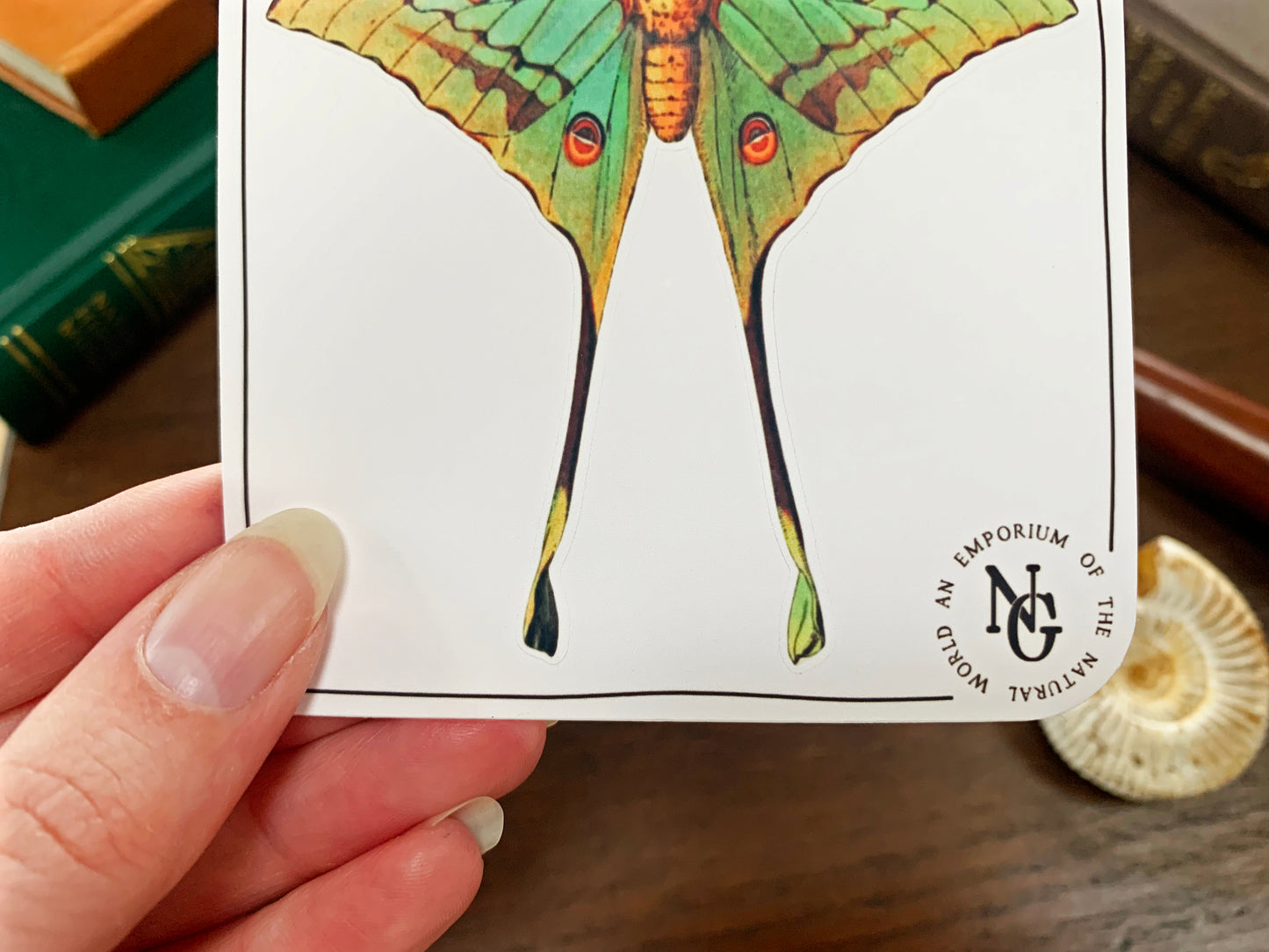 Luna Moth Sticker