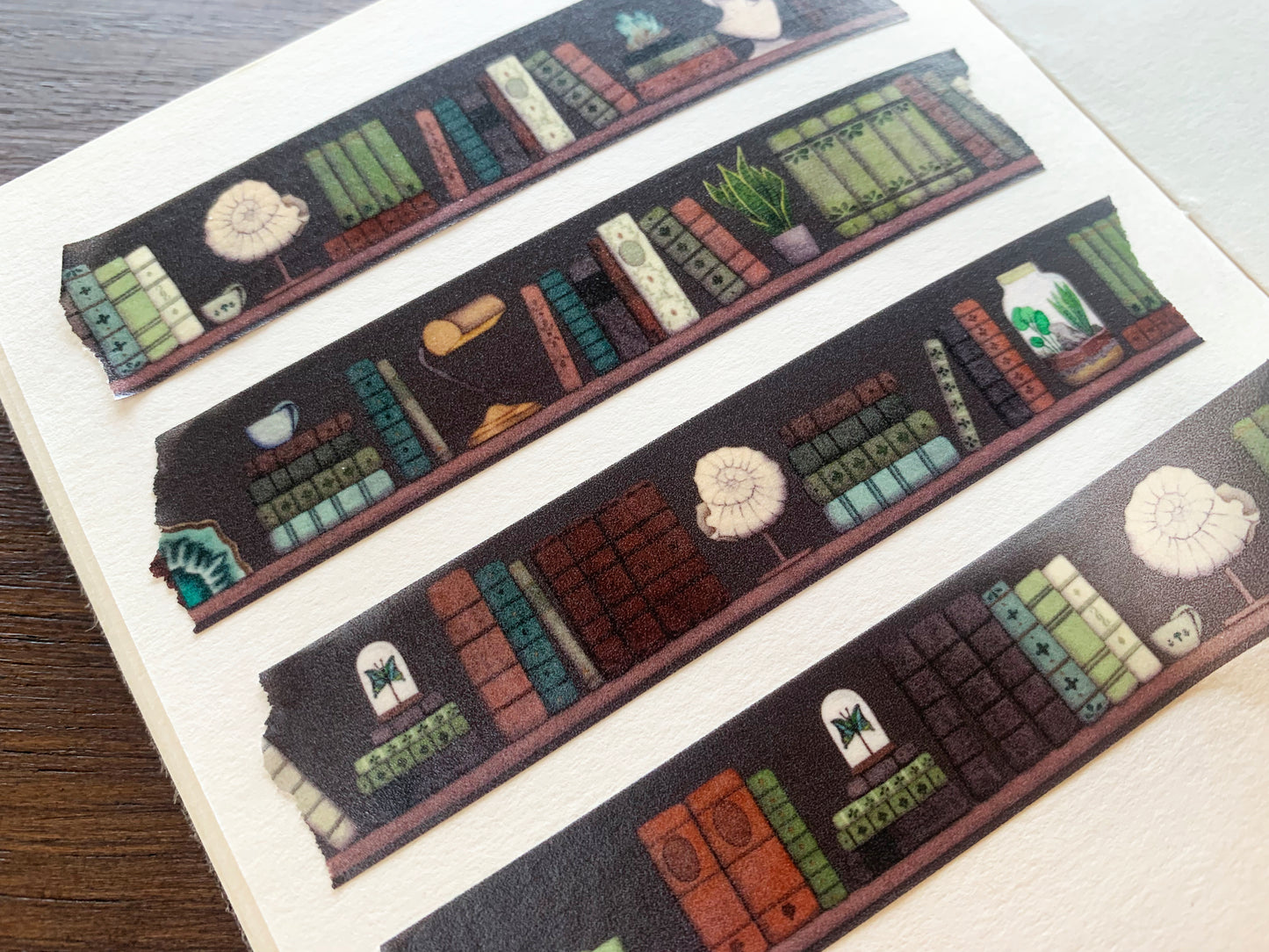 The Naturalist's Study Washi Tape
