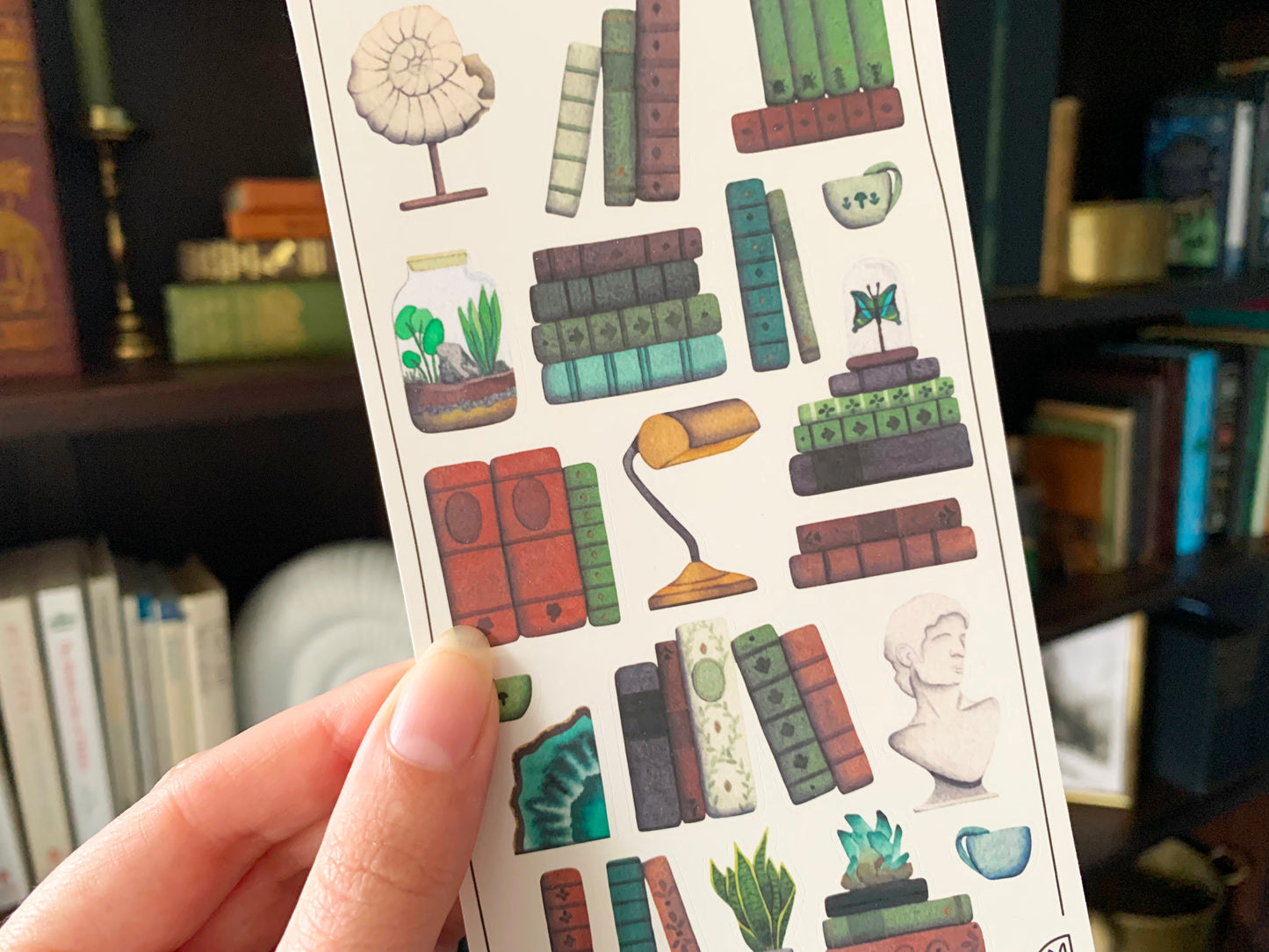 Close up if a sticker sheet of elements of a naturalist's study including antique nature books, an ammonite, a terrarium, a marble bust, brass bankers lamp, and cups of tea to be used in planner or journal, held in front of a dark academia style bookshelf. The Naturalist's Guild.