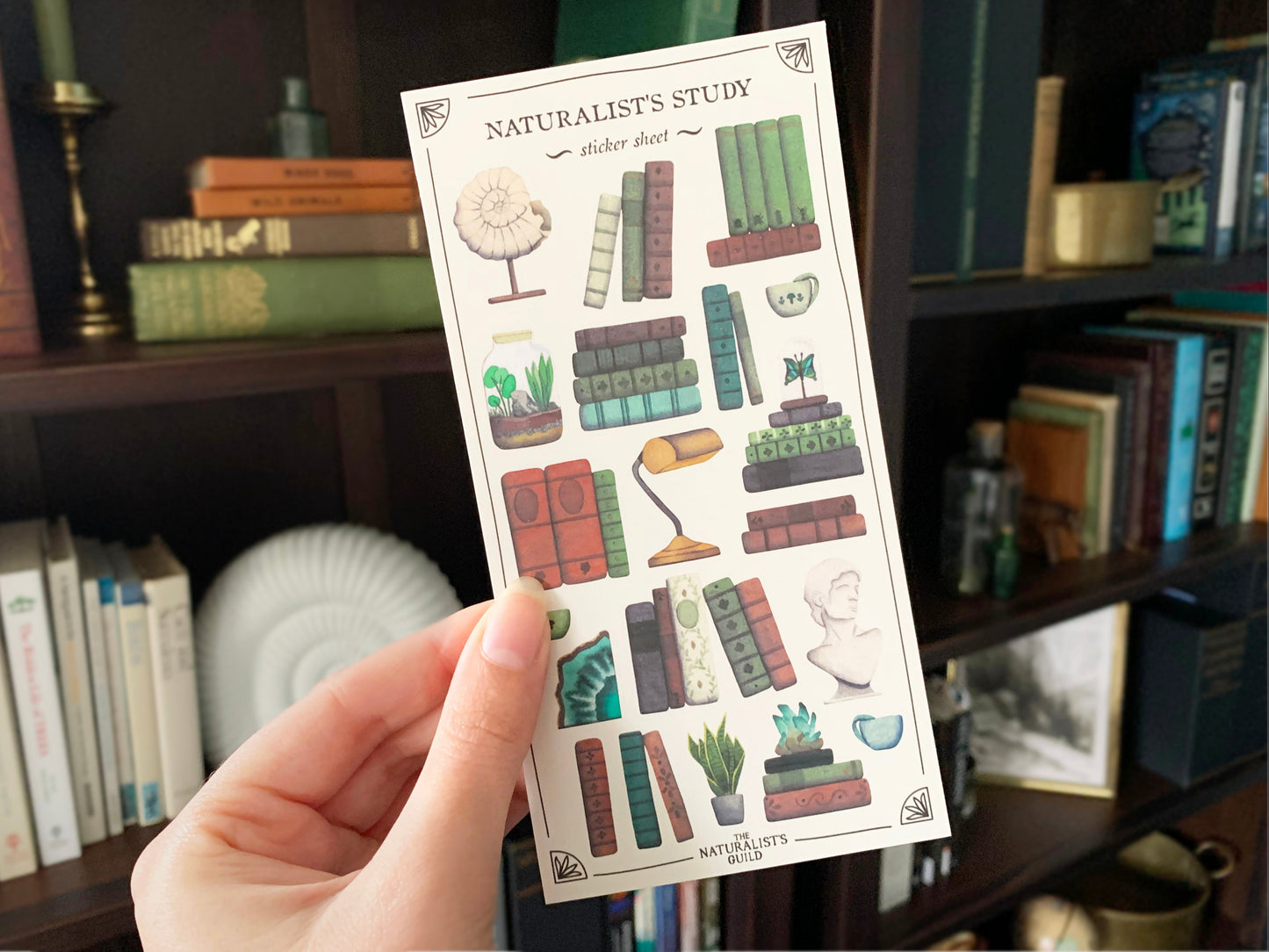 Sticker sheet of elements of a naturalist's study including antique nature books, an ammonite, a terrarium, a marble bust, brass bankers lamp, and cups of tea to be used in planner or journal, held in front of a dark academia style bookshelf. The Naturalist's Guild.
