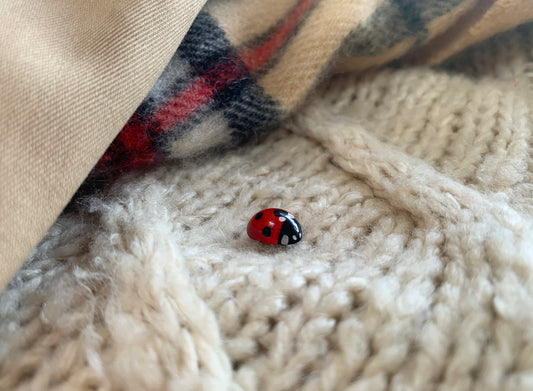 Realistic Ladybird Pin