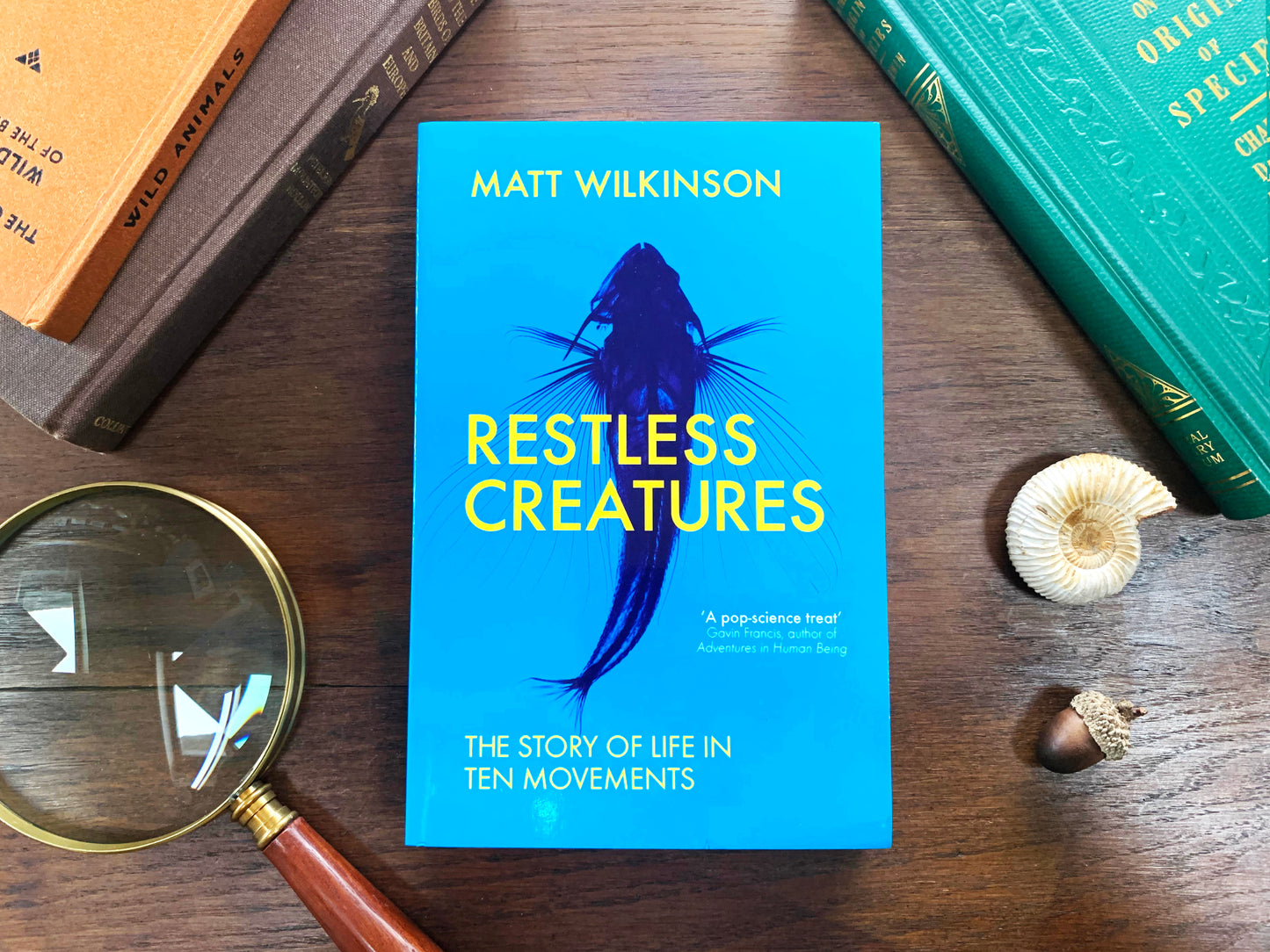 Restless Creatures by Matt Wilkinson