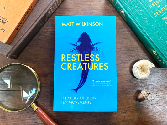 Restless Creatures by Matt Wilkinson