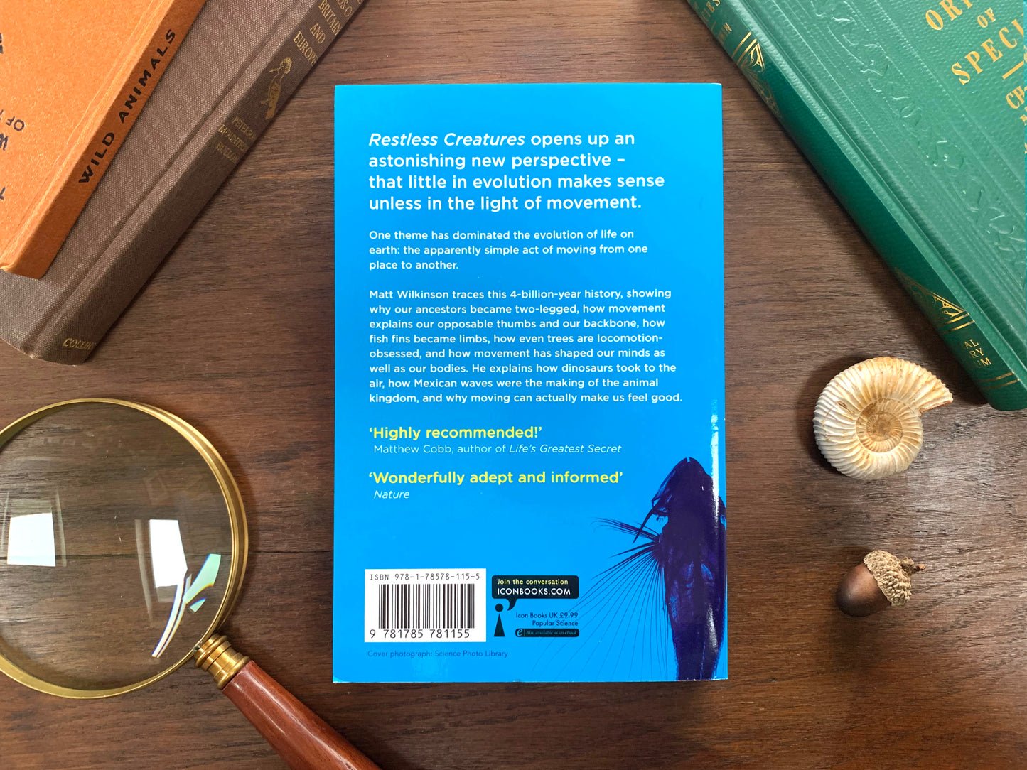 Restless Creatures by Matt Wilkinson