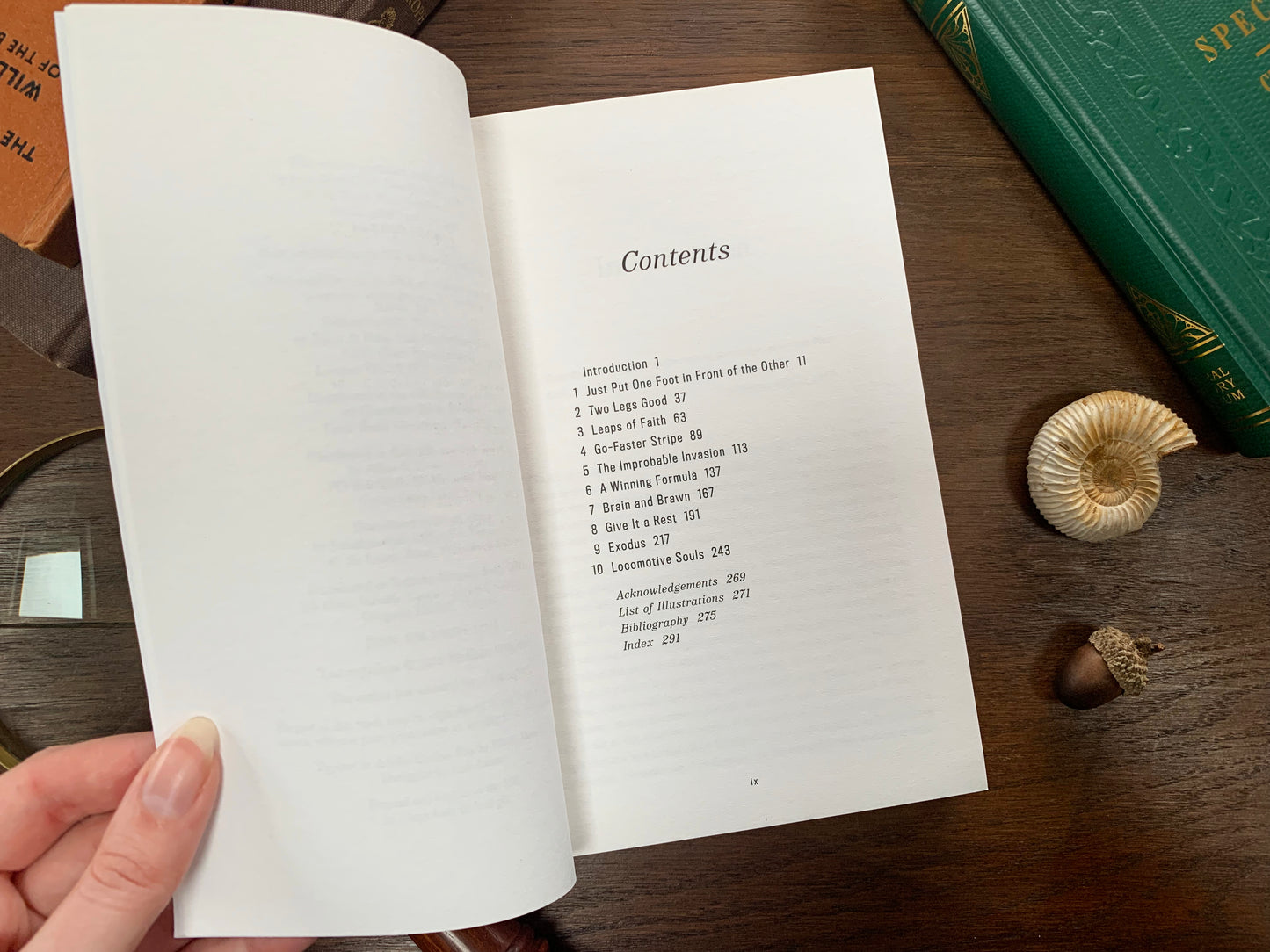 Restless Creatures by Matt Wilkinson