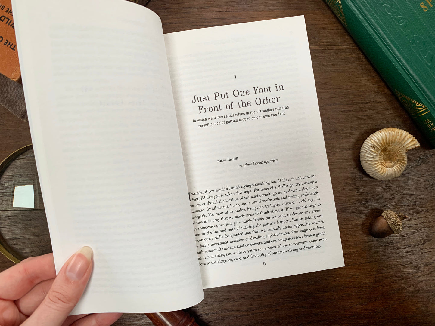 Restless Creatures by Matt Wilkinson