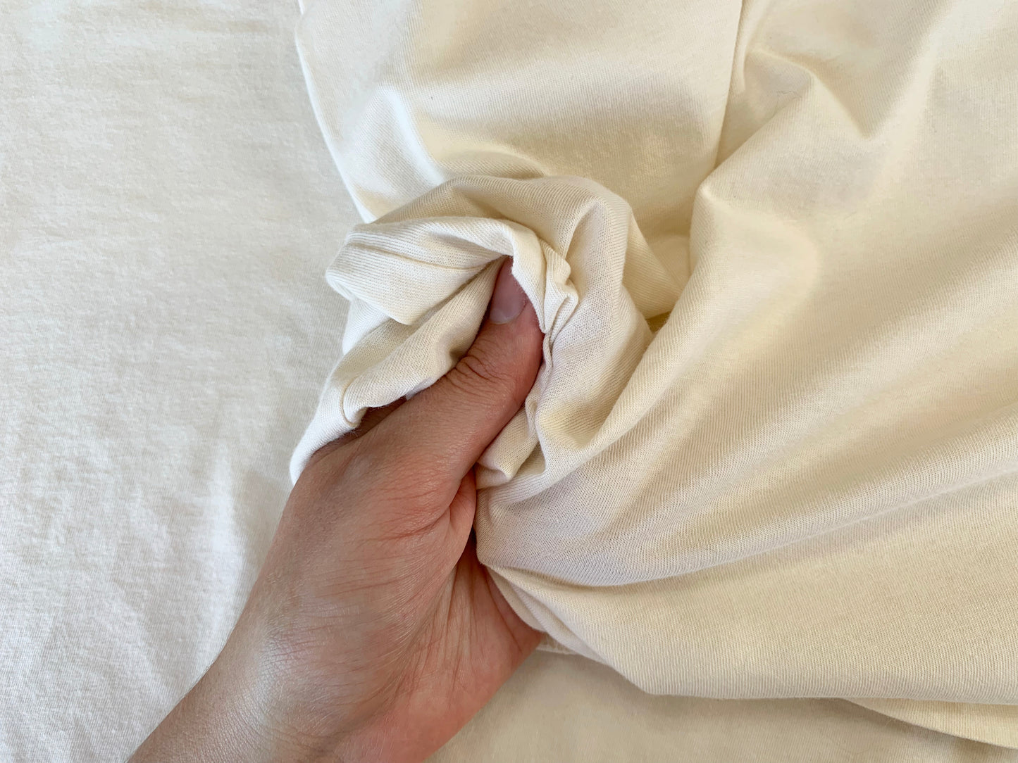 Brontosaurus Facts T-Shirt