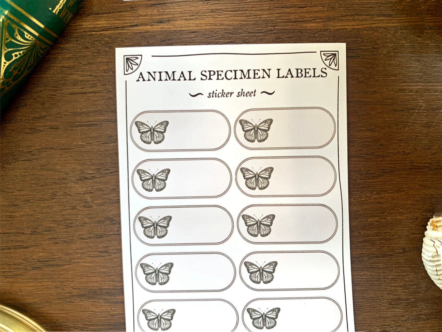 Insect Specimen Label Sheet