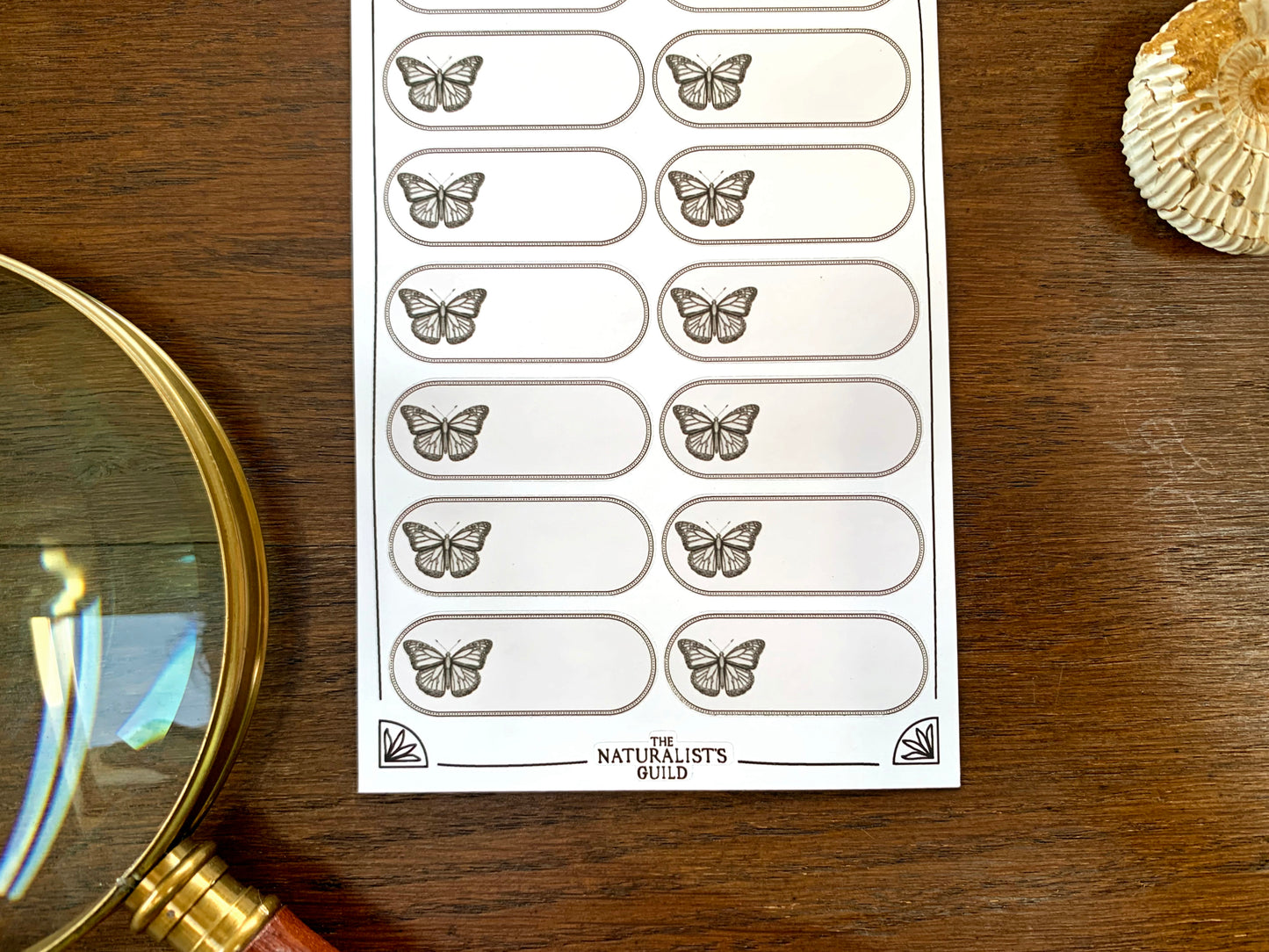 Insect Specimen Label Sheet