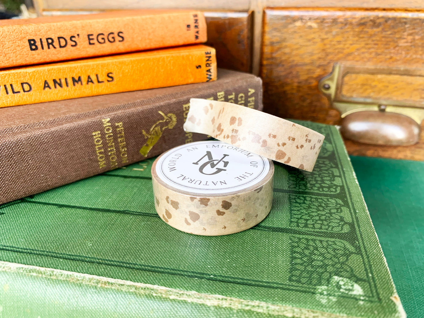 Dinosaur Footprints Washi Tape