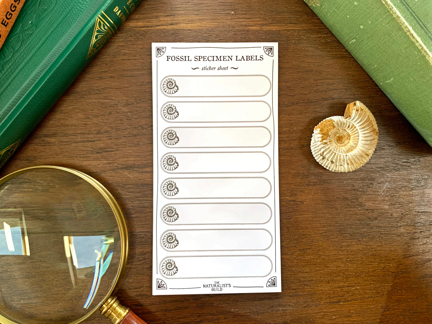 Fossil Specimen Label Sheet