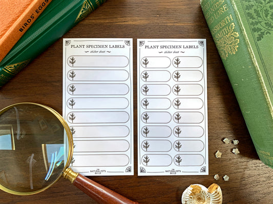 Plant Specimen Label Sheet