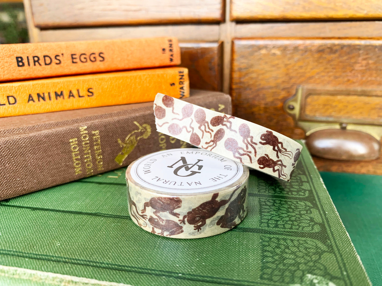 Toad Life Cycle Washi Tape