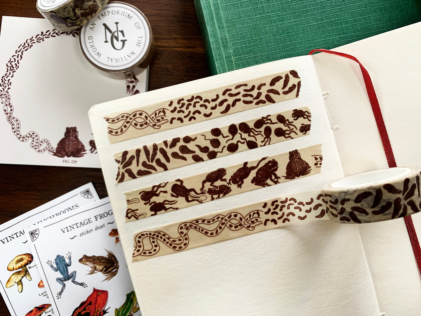 Toad Life Cycle Washi Tape