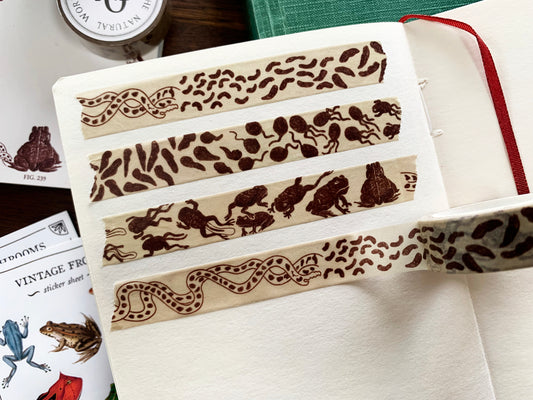 Toad Life Cycle Washi Tape