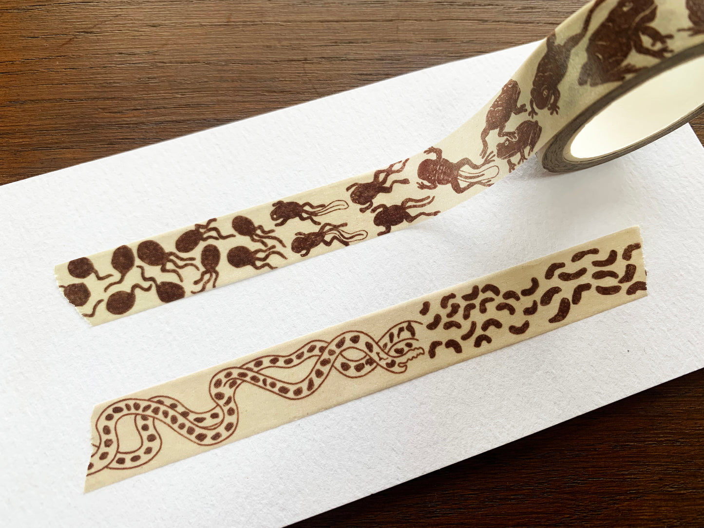 Toad Life Cycle Washi Tape