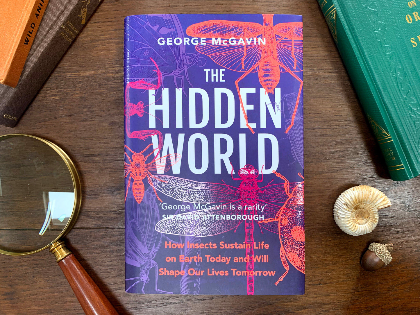 The Hidden World by George McGavin