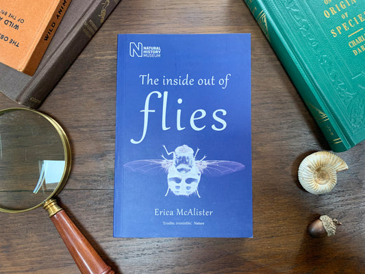 The Inside Out of Flies by Erica McAlister