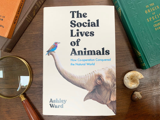 The Social Lives of Animals by Ashley Ward