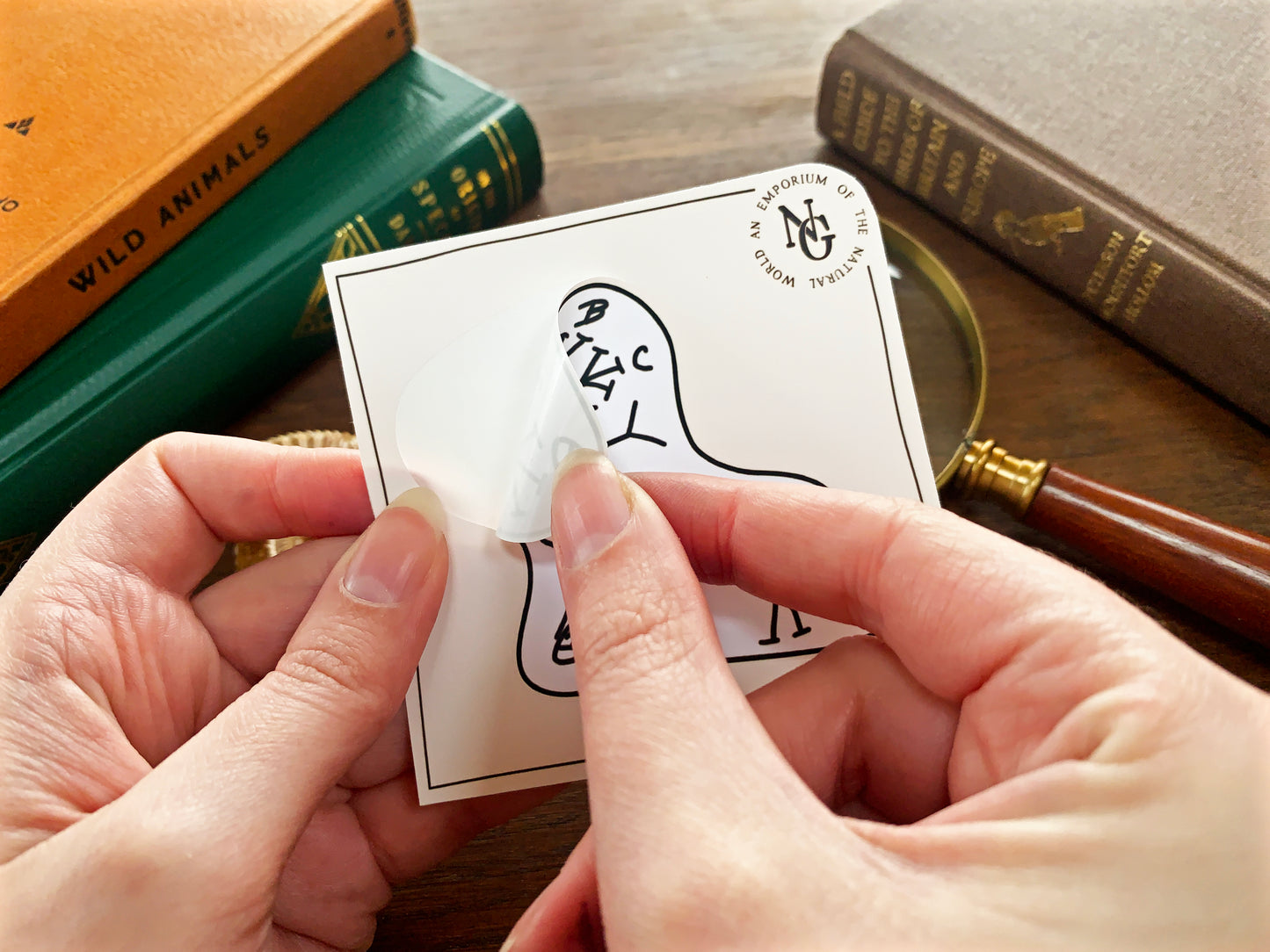 Darwin's Tree of Life Sticker