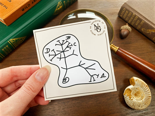 Darwin's Tree of Life Sticker