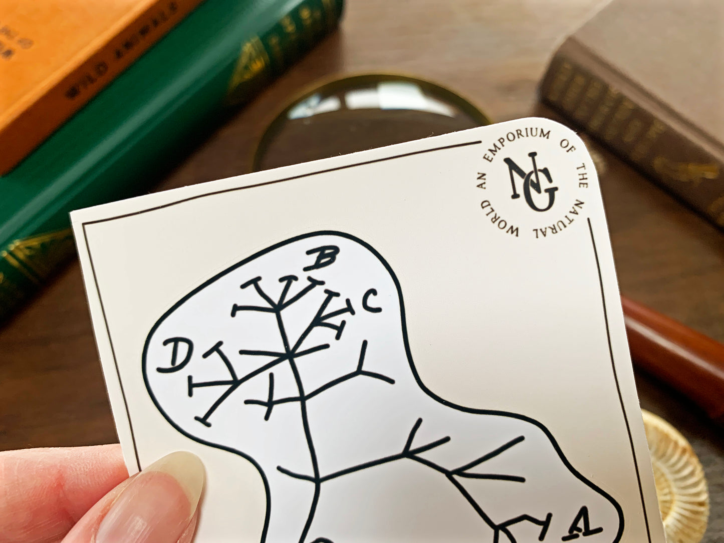 Darwin's Tree of Life Sticker