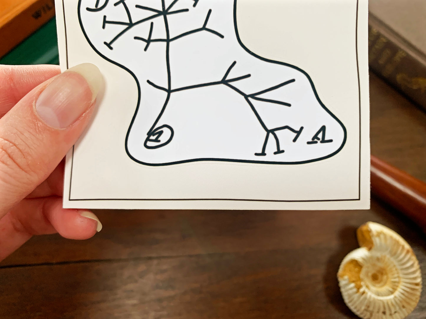 Darwin's Tree of Life Sticker