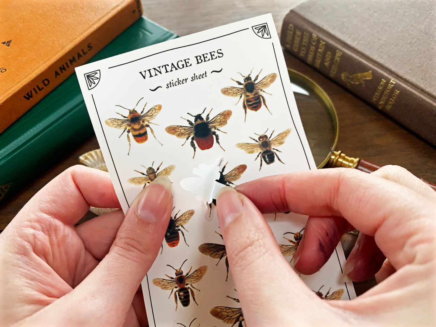 Vintage Bees Sticker Sheet