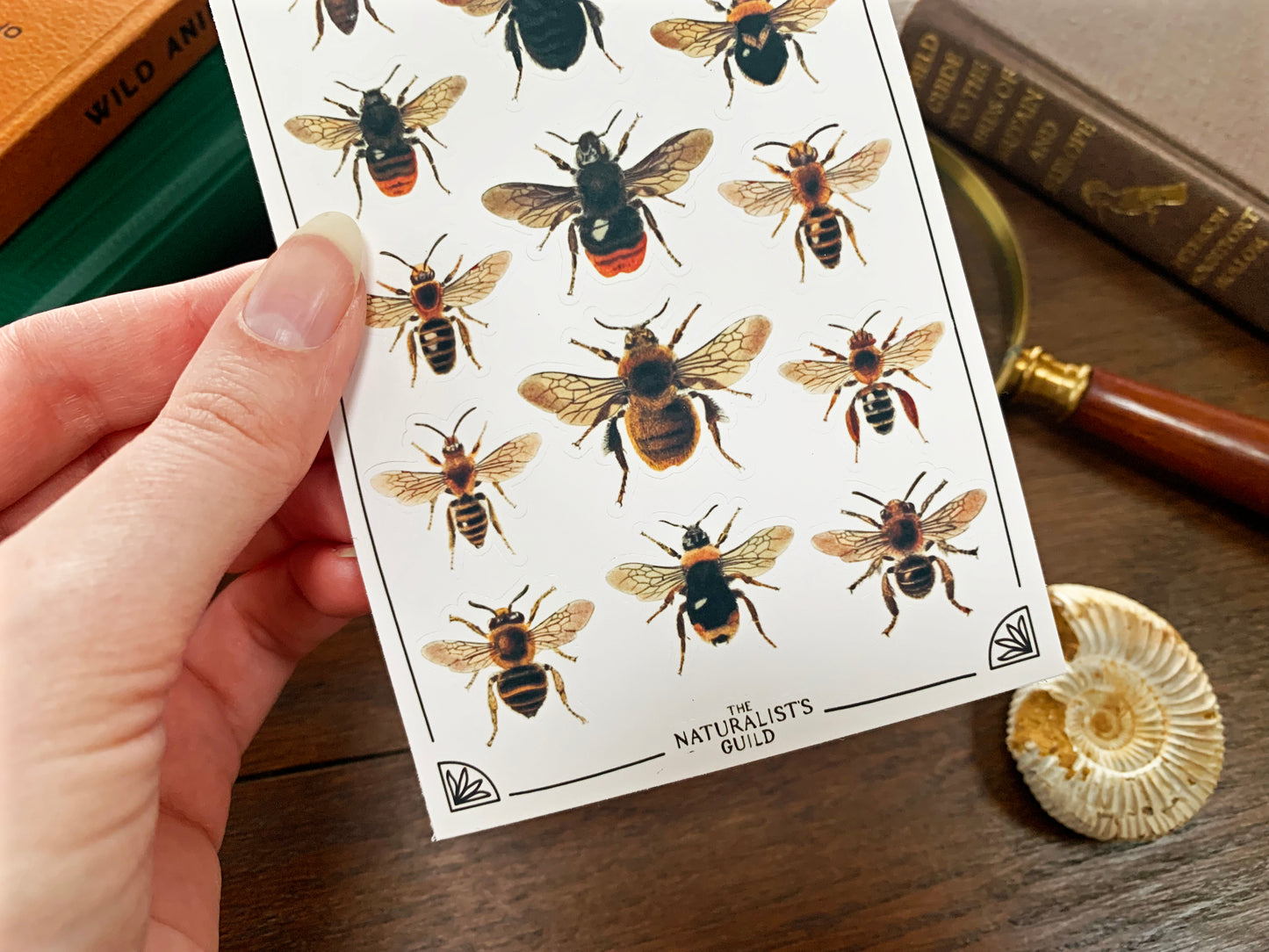 Vintage Bees Sticker Sheet