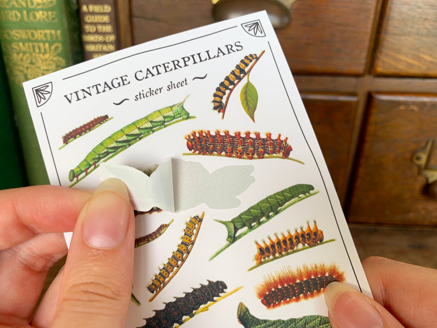Vintage Caterpillars Sticker Sheet