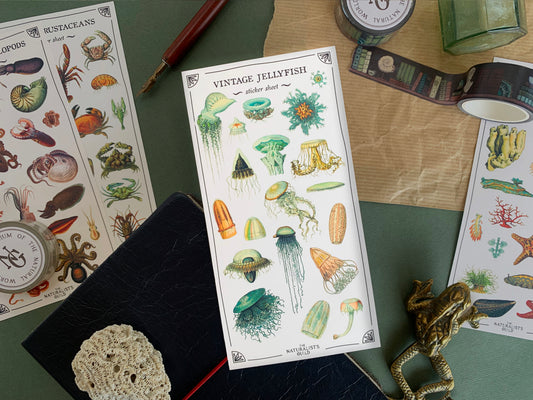 Vintage Jellyfish Sticker Sheet