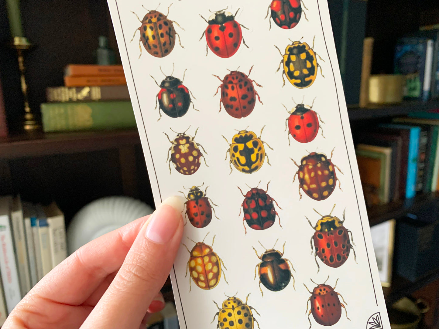 Vintage Ladybirds Sticker Sheet
