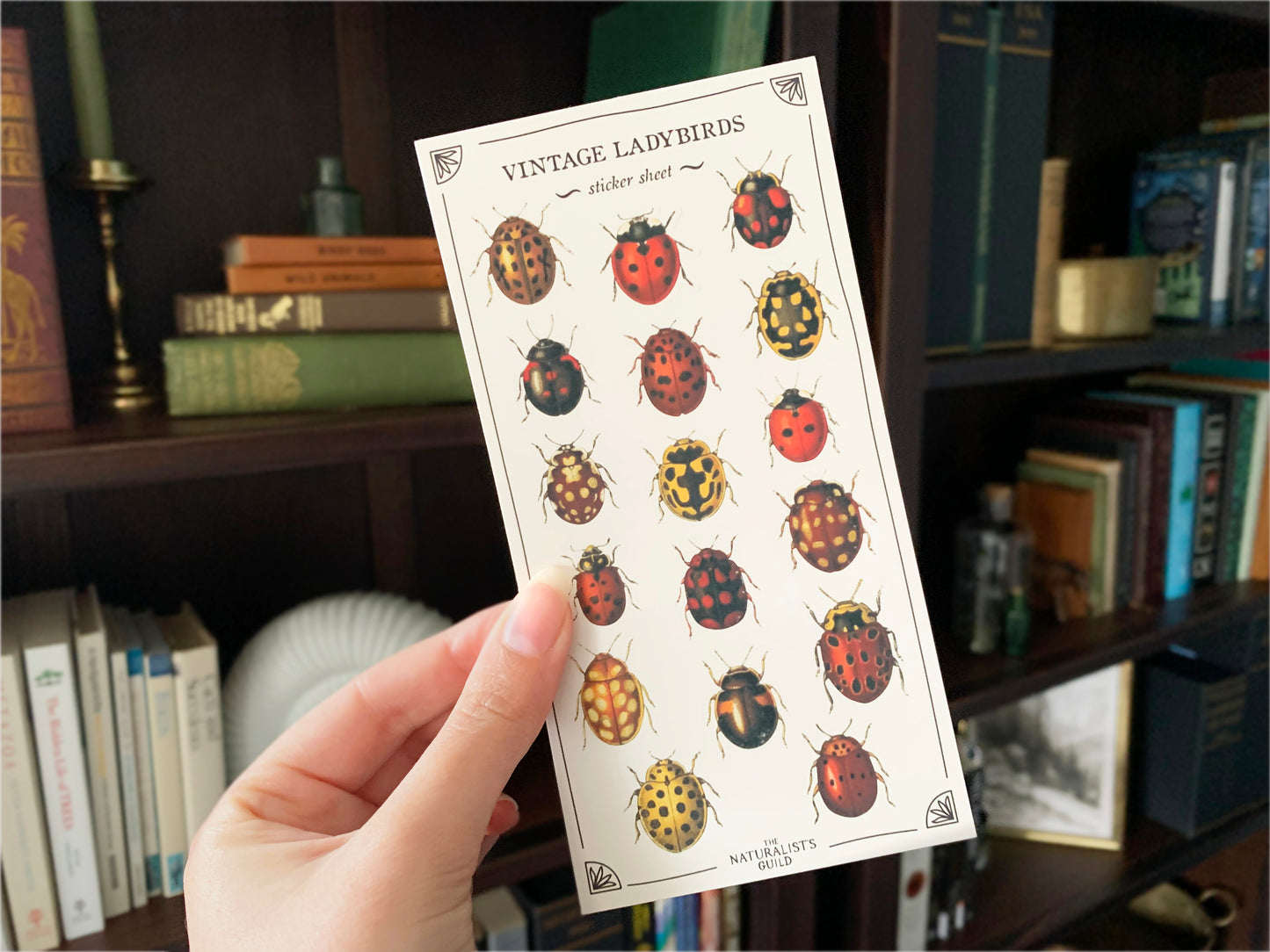 Vintage Ladybirds Sticker Sheet